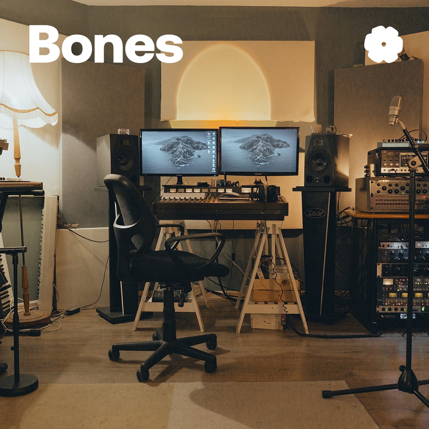 Bones