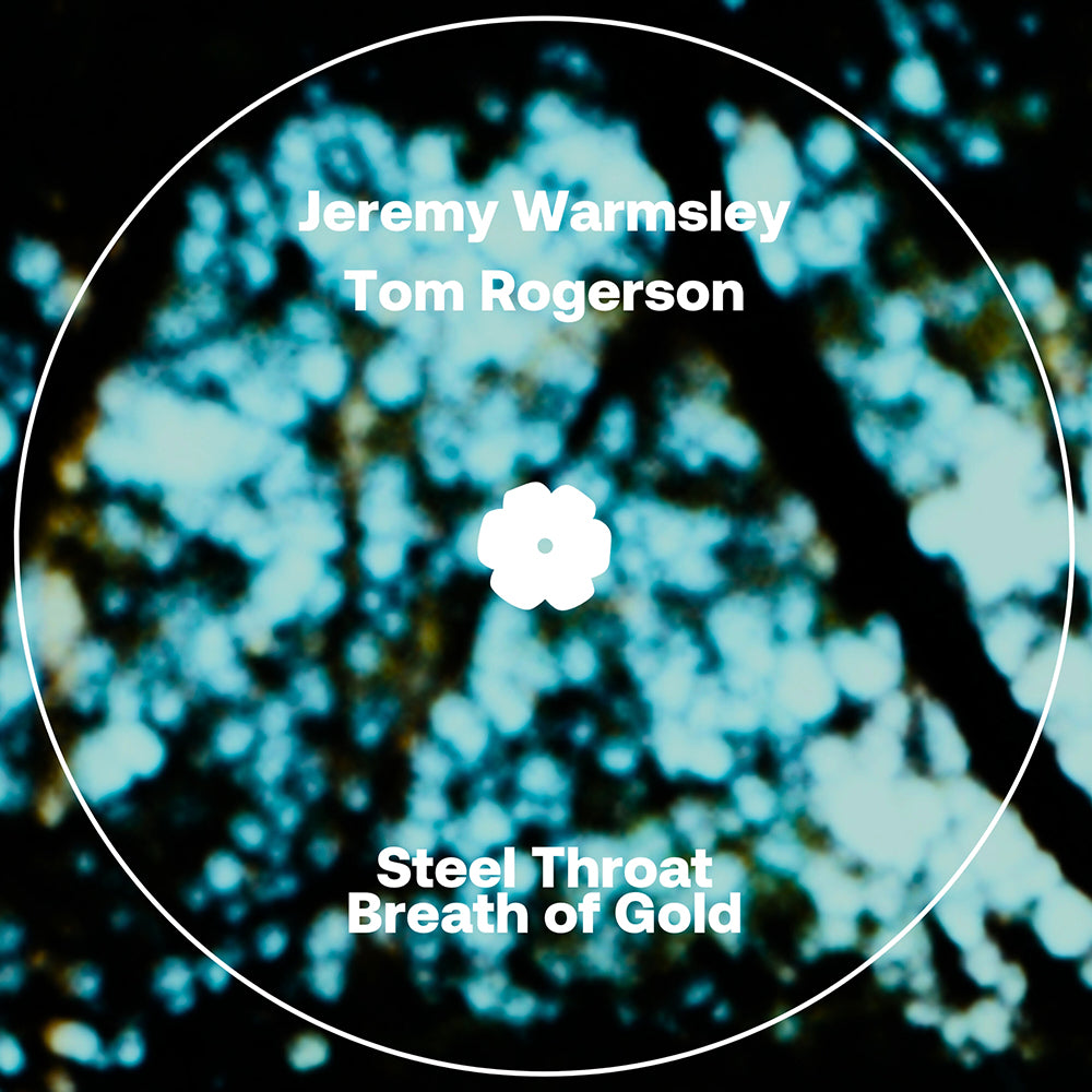 Jeremy Warmsley & Tom Rogerson - Steel Throat