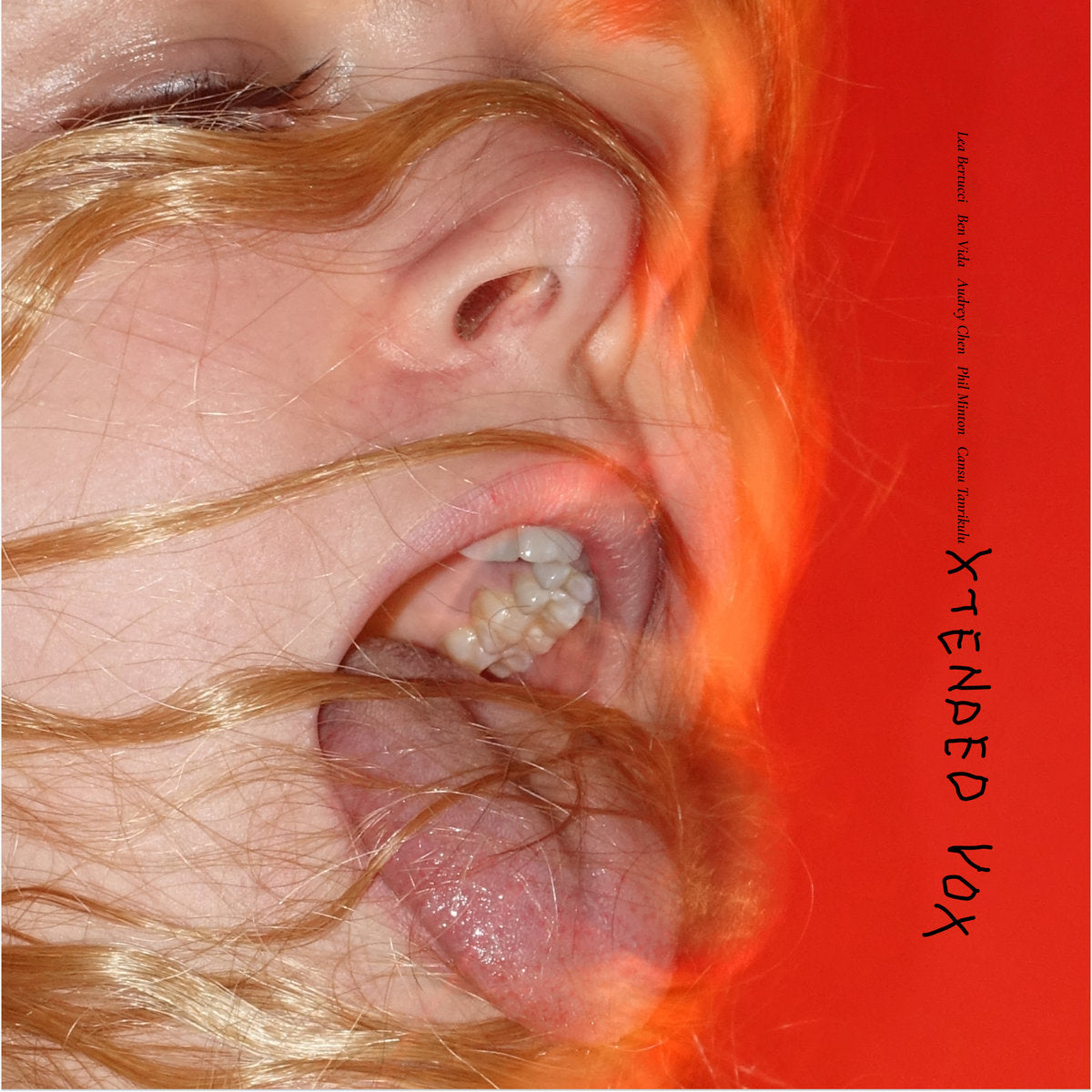 Various Artists - Xtended Vox (Scrawl)